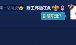 韩涵事件爆料视频播放,揭秘背后惊人真相