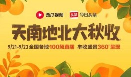 吃瓜爆料封面素材视频大全,封面素材视频大全大揭秘