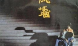 风墙电视剧在线观看,揭秘风暴中的生死较量，在线观看震撼来袭！