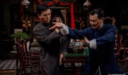 叶问2国语在线观看,再战江湖——国术宗师叶问的传奇续篇