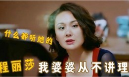 最新爆料婆媳关系,揭秘现代家庭矛盾焦点