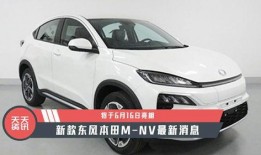 nv最新爆料,揭秘显卡行业新动态与未来趋势