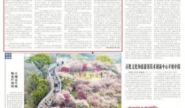 柬埔寨旅游通告最新爆料,揭秘最新旅游通告亮点