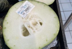 成都吃瓜网红,成都网红吃瓜达人带你探秘美食圈幕后故事