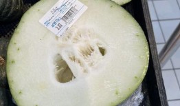 成都吃瓜网红,成都网红吃瓜达人带你探秘美食圈幕后故事