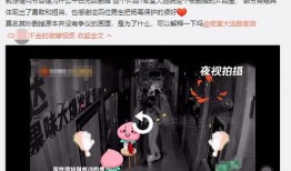 独家爆料粉丝p图视频大全,独家爆料视频大全