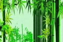 都美竹子最新爆料,揭秘娱乐圈惊人内幕