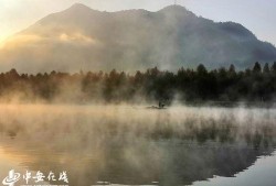 晨雾在线观看,揭秘神秘晨雾的奇幻之旅