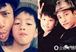 李琛儿子爆料了吗视频全集,揭秘家庭背后故事