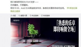 mjk最新爆料,揭秘娱乐圈最新动态与幕后故事