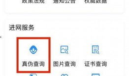 大良新闻爆料电话查询,揭秘本地热点事件，倾听民声