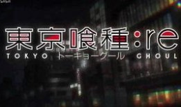 王者一哥爆料视频,揭秘游戏幕后精彩瞬间