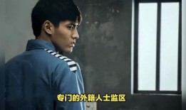 吴某监狱爆料事件视频最新,事件最新进展与内幕曝光