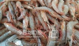 近日海鲜大爆料最新消息,揭秘近期海鲜市场惊人内幕