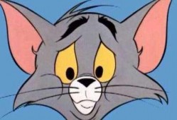 猫鼠天使汤姆爆料视频,视频爆料背后的惊人真相