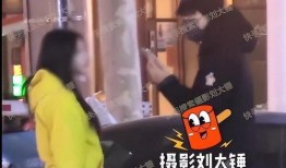 刘大锤爆料全程视频,揭秘事件真相与幕后黑幕