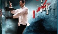 叶问2国语在线观看,再战江湖——国术宗师叶问的传奇续篇