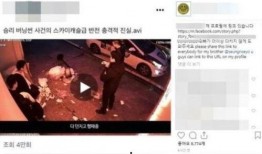 夜店最新爆料视频大全集,最新爆料视频大全集深度解析