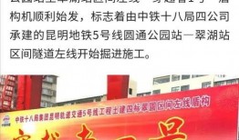 感恩节最新爆料新闻稿件,揭秘节日背后的惊人真相