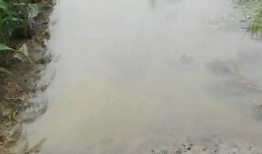 爆料雨水连天视频,揭秘雨水连天视频背后的故事