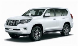 国产普拉多最新爆料视频,揭秘最新爆料视频亮点