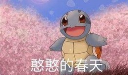 女网红杰尼龟吃瓜视频,揭秘娱乐圈幕后真相