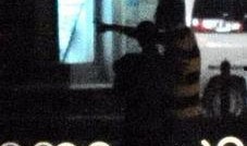 娱乐圈爆料陆川,揭秘幕后真相与情感纠葛