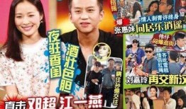 邓超杜鹃爆料视频在线观看,揭秘幕后故事与情感纠葛