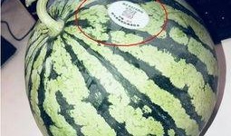 吃外国网红瓜,揭秘那些跨国界的“瓜”事