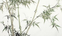 都美竹子最新爆料,揭秘娱乐圈惊人内幕