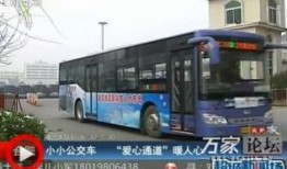 20路公交车爆料新闻,市民亲身经历，记录城市生活点滴