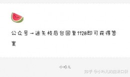 娱乐圈瓜爆料文件,揭秘明星背后的秘密与真相
