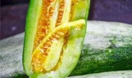 网红吃团队瓜,趣味横生！