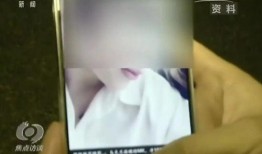 黄鳝门在线观看下载,揭秘网络奇观，在线观看下载背后的故事