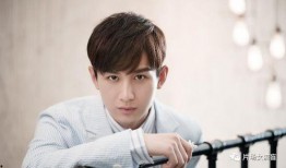 成毅爆料最新视频播放,幕后故事与幕后英雄