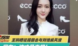 冯丹角色爆料视频播放,揭秘幕后故事与精彩瞬间