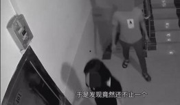 房东爆料女租客视频曝光,房东爆料引发热议