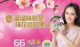 东北食品爆料事件视频大全,揭秘视频大全背后的真相与争议