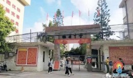 吴川中学爆料案件最新,真相揭开，校园安全再引关注