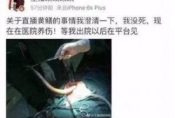 黄鳝门在线观看下载,揭秘网络奇观，在线观看下载背后的故事