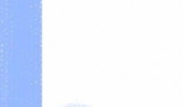 宠物黑料爆料视频大全下载