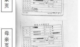 宠物黑料爆料视频大全下载