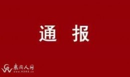 武冈热点爆料新闻最新,考古专家揭秘千年历史之谜