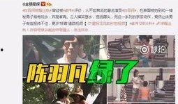 最新明星事件爆料视频,明星事件视频揭秘，真相令人震惊！