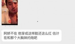 网红出轨爆料视频大全集,视频大全集深度解析