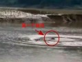 水怪爆料视频大全,水怪爆料视频大全深度解析
