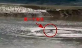 水怪爆料视频大全,水怪爆料视频大全深度解析