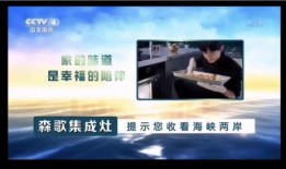 中央4台直播在线观看4,实时掌握国内外资讯