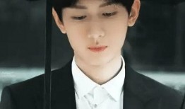 成毅爆料最新视频播放,幕后故事与幕后英雄