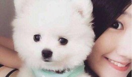 博美爆料新闻视频播放,新闻视频幕后播放真相大曝光